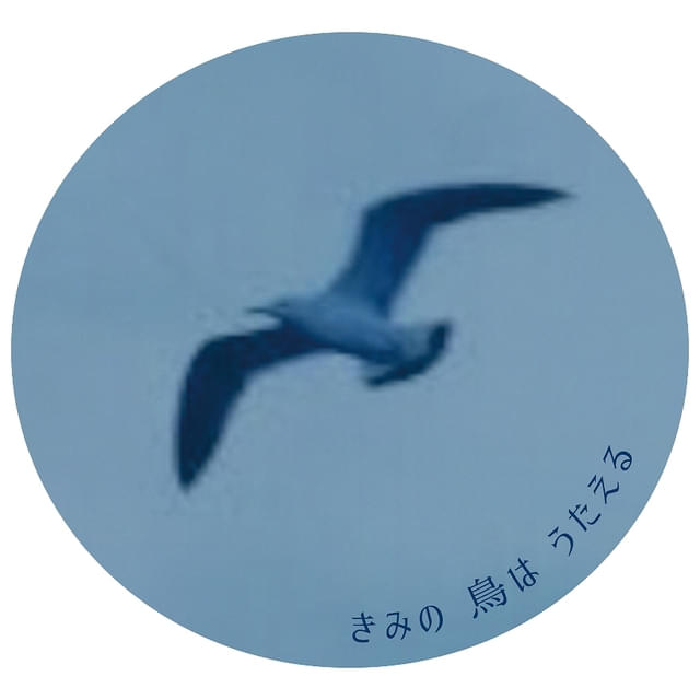 画像12