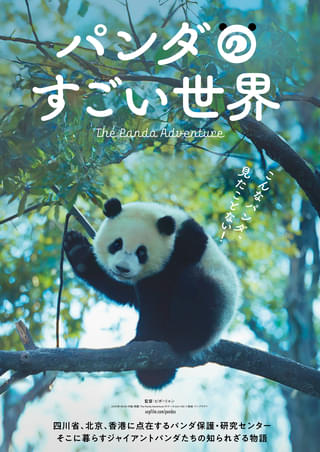 ジャイアントパンダの一生に迫る「パンダのすごい世界」公開【上野動物園のパンダは2月に中国へ返還】