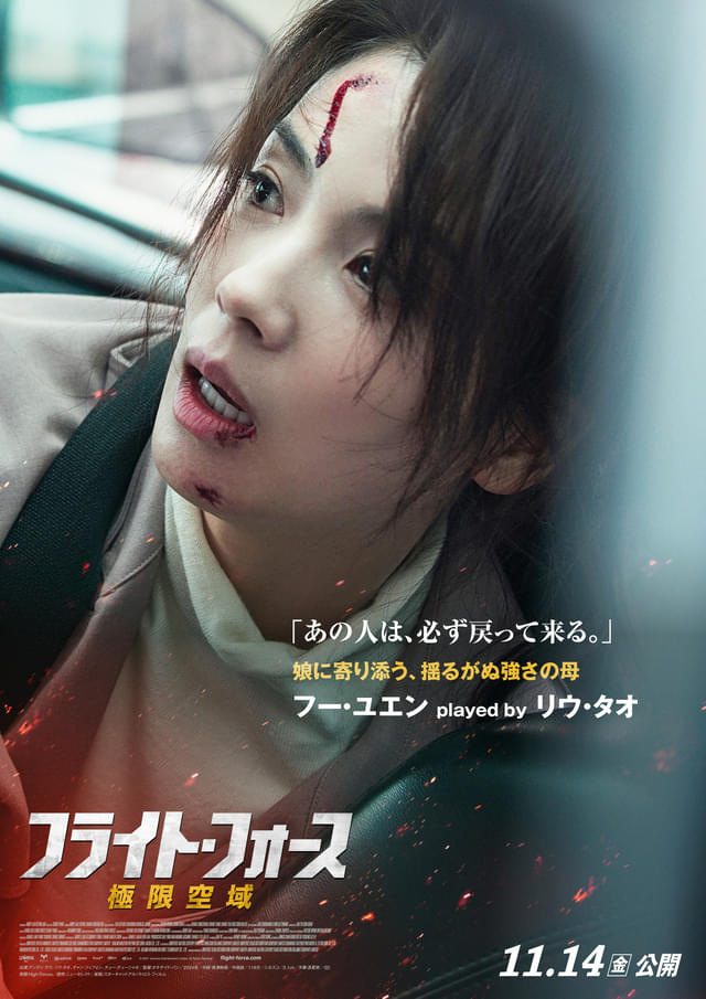 ハオジュンの元妻フー・ユエン役のリウ・タオ