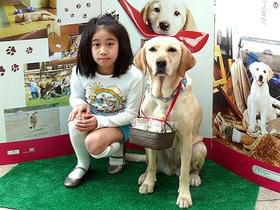 犬に癒されるバレンタインの日を満喫「マーリー 世界一おバカな犬が教えてくれたこと」