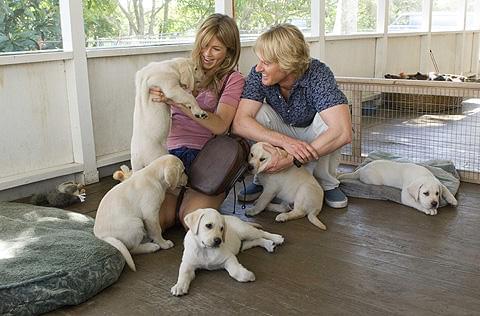 愛犬家から好評の「マーリー」フォト・コンテスト第2弾開催