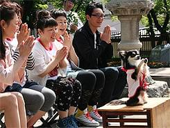 合掌するコナンくん「ビバリーヒルズ・チワワ」