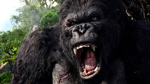 新しい「キング・コング」映画が急浮上。ドクロ島での怪獣大決戦？