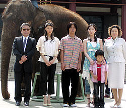 象が増上寺に出現。柳楽クンの「星になった少年」