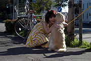 「犬と私の10の約束」で田中麗奈とあなたの愛犬が共演？