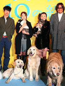 田中麗奈、犬に囲まれて「楽しい」舞台挨拶。「犬と私の10の約束」完成