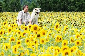 2011年夏はおとうさんとハッピーに日本が泣く「星守る犬」