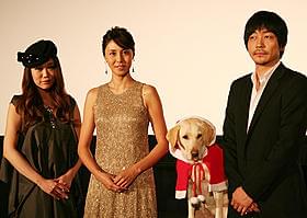 69犬種111頭もの犬が登場「いぬのえいが」