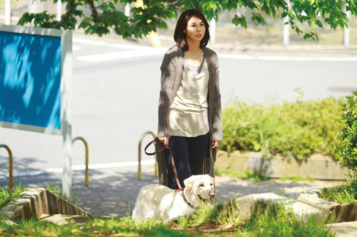 大森×松嶋ら出演「犬とあなたの物語」“メロメロ”カットを大量入手