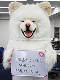 映画のことなら映画.com 映画は「わさお」とPR「わさお」