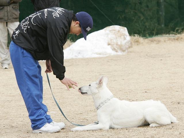 市原隼人 Dog Police で警備犬訓練を行う熱血警察官に 映画ニュース 映画 Com
