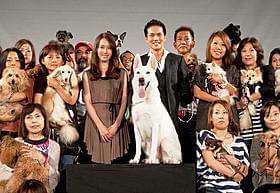 犬に囲まれて笑顔の市原隼人と戸田恵梨香「DOG×POLICE 純白の絆」
