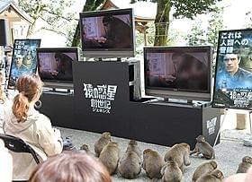 「猿の惑星」新作上映会を楽しむサルと参加者たち「猿の惑星」