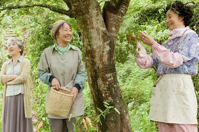 「人生、いろどり」70代女性が手がけた“葉っぱ”ビジネスが映画化