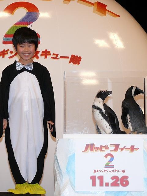鈴木福「とってもかわいい」 本物のペンギンに笑顔 - 画像1