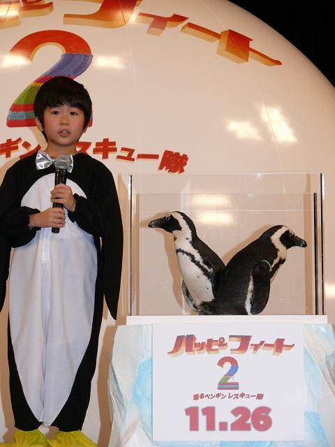 鈴木福「とってもかわいい」 本物のペンギンに笑顔 - 画像2