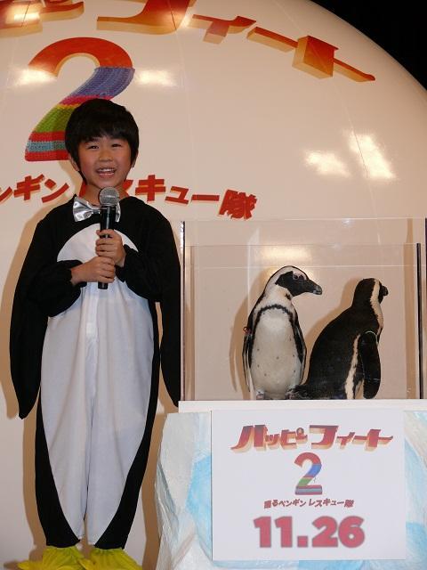 鈴木福「とってもかわいい」 本物のペンギンに笑顔 - 画像3