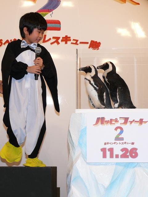 鈴木福「とってもかわいい」 本物のペンギンに笑顔 - 画像4