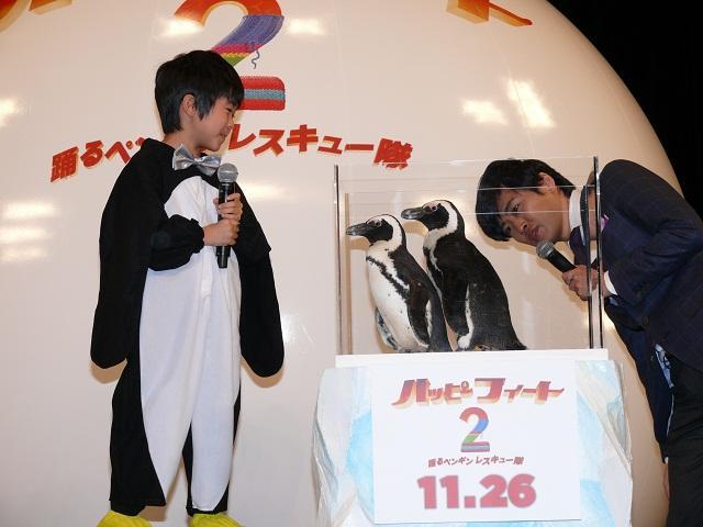 鈴木福「とってもかわいい」 本物のペンギンに笑顔