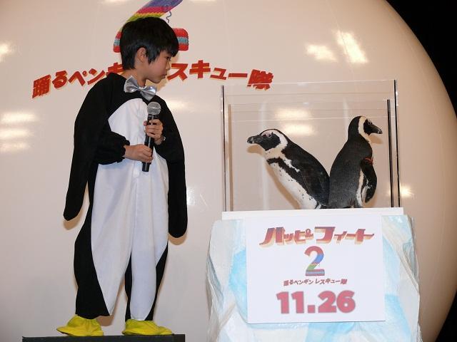 鈴木福「とってもかわいい」 本物のペンギンに笑顔 - 画像13