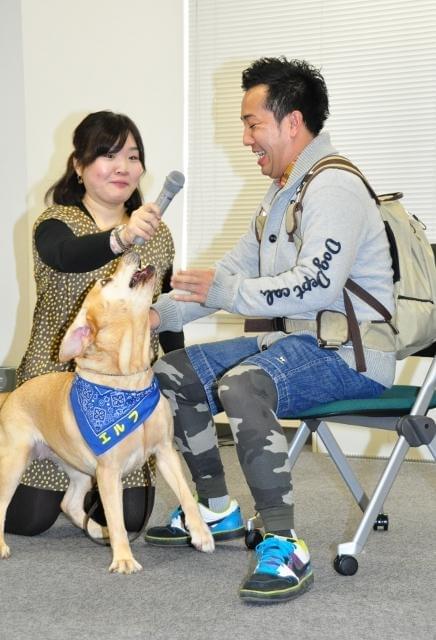 映画版 まさお君 を演じた俳優犬 本家tv番組で旅犬に大抜てき 映画ニュース 映画 Com