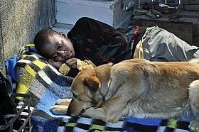 カウリスマキ監督の愛犬“ライカ”出演シーン「ル・アーヴルの靴みがき」