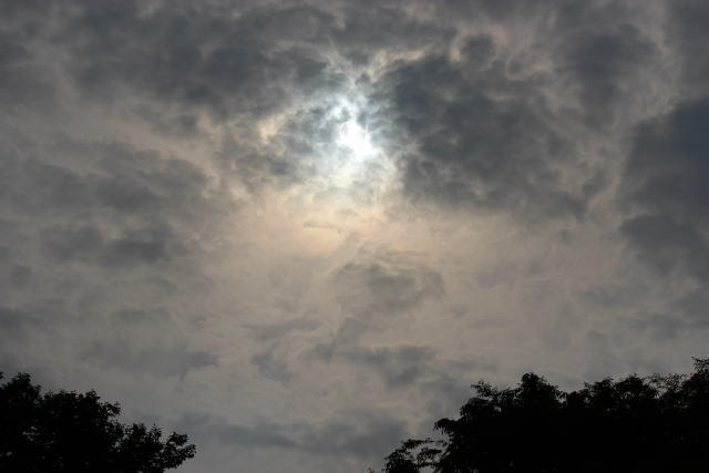 “江戸スタイル”で金環日食を観測 滝田洋二郎監督も興奮 - 画像12