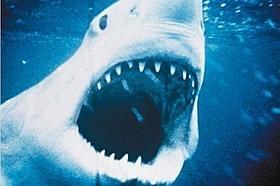 茅ヶ崎サザンビーチで「ジョーズ」を上映!「ジョーズ」