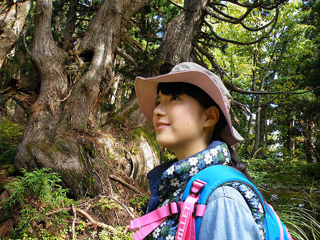 川島海荷、初の自然ドキュメンタリーで佐渡の天然杉をレポート - 画像3