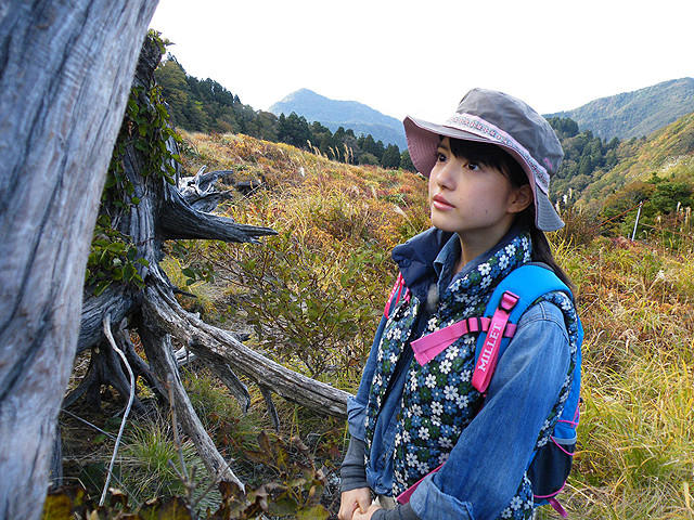川島海荷、初の自然ドキュメンタリーで佐渡の天然杉をレポート - 画像4