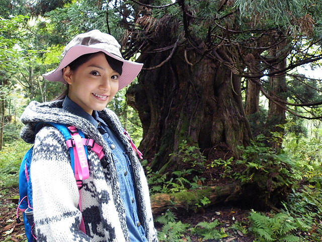 川島海荷、初の自然ドキュメンタリーで佐渡の天然杉をレポート - 画像5