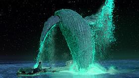 幻想的な光を放ちながらシロガナスクジラが舞う!「ライフ・オブ・パイ トラと漂流した227日」