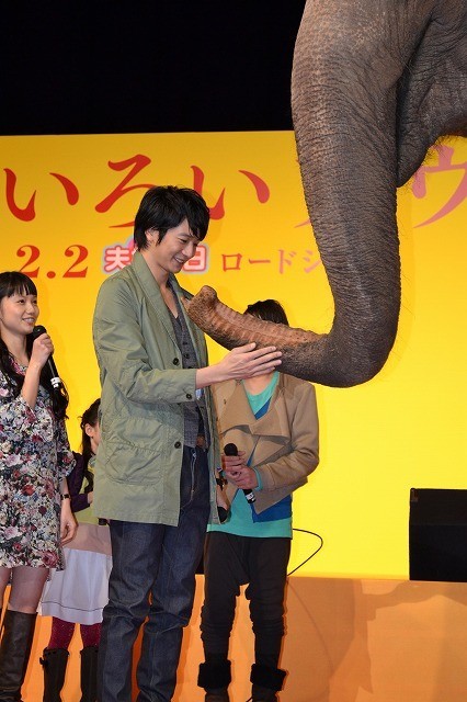 宮崎あおい、本田望結ちゃんら、本物のゾウに大興奮「すごい！ ヤバイ！」