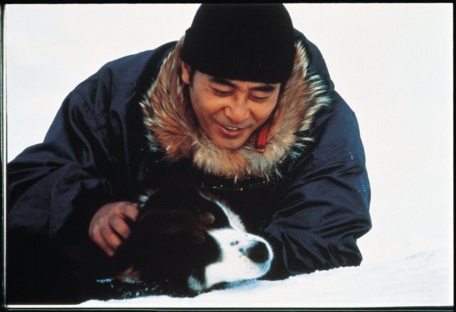 タロ・ジロの感動がよみがえる！ 「南極物語」30周年記念で初のブルーレイ化 - 画像3