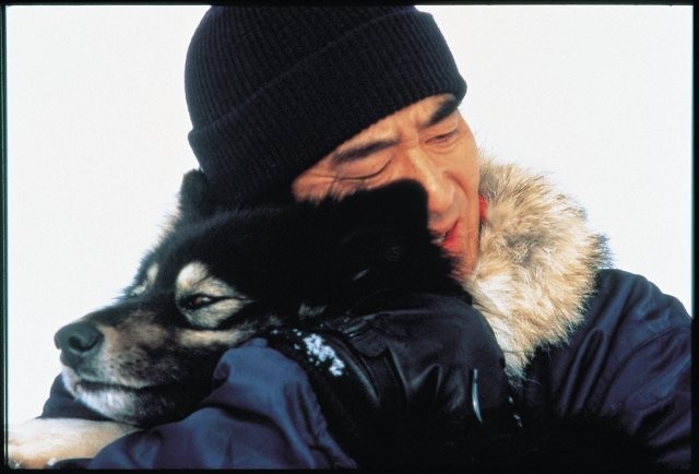 タロ・ジロの感動がよみがえる！ 「南極物語」30周年記念で初のブルーレイ化