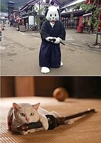 ニャンまげが「猫侍」宣伝部長に「猫侍」