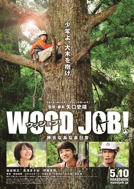 DVD WOOD JOB!~神去なあなあ日常~スタンダード・エディション 染谷将太 長澤まさみ 伊藤英明