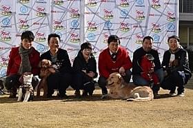 愛犬を披露した芸人たち