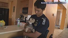 愛犬と戯れるダルビッシュ有選手