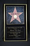 ハリウッド・ウォーク・オブ・フェーム「くまのプーさん」プレート（2006年4月11日）ウォルト・ディズニー・アーカイブス