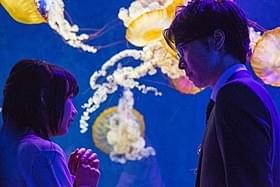 月海と修の恋の行方は?「海月姫」
