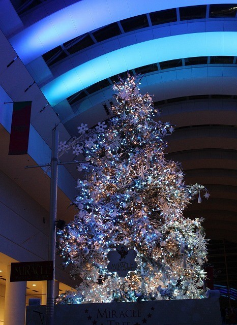 横浜みなとみらいに巨大クリスマスツリー、「MIRACLE デビクロくんの恋と魔法」とコラボ - 画像4