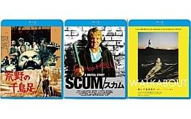 「荒野の千鳥足」「SCUM スカム」「美しき冒険旅行」の ブルーレイ&DVDがついに発売!「荒野の千鳥足」