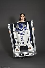 R2-D2との生活がはじまる「スター・ウォーズ」
