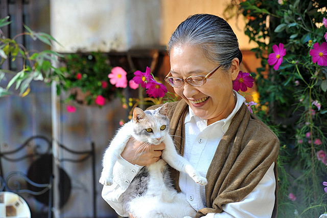 イッセー尾形、9年ぶり主演作「先生と迷い猫」10月10日公開 三毛猫と並んだポスター完成 - 画像7