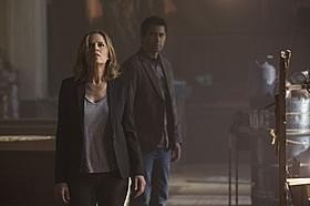 スピンオフドラマ「Fear the Walking Dead(原題)」の一場面