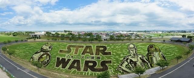 スター・ウォーズ田んぼアートが見ごろ迎える 式典ではストームトルーパーが祝福