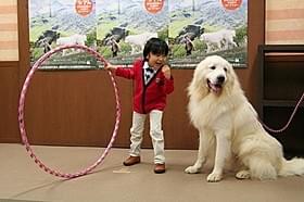 やる気満々の心くんを、犬のモコは完全無視「ベル&セバスチャン」