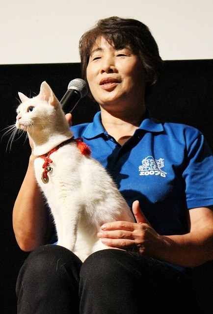 猫侍 の白ネコ あなご 単独イベント開催 トレーナーが北村一輝との信頼関係語る 映画ニュース 映画 Com