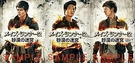 来場者プレゼントとしてポストカードが配布される予定「メイズ・ランナー」